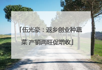 伍光豪：返乡创业种蔬菜 产销两旺促增收