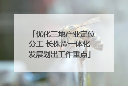 优化三地产业定位分工 长株潭一体化发展划出工作重点