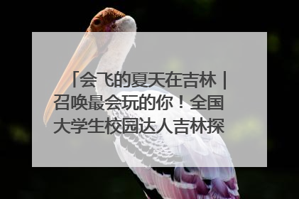 会飞的夏天在吉林｜召唤最会玩的你！全国大学生校园达人吉林探线活动招募中