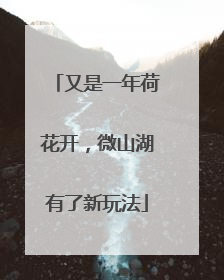 又是一年荷花开，微山湖有了新玩法