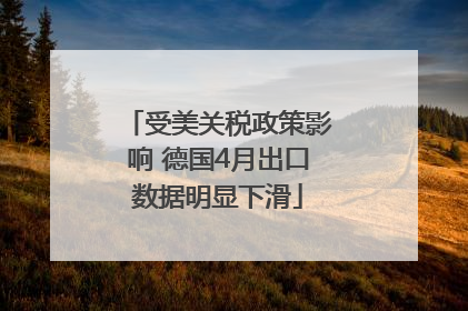 受美关税政策影响 德国4月出口数据明显下滑