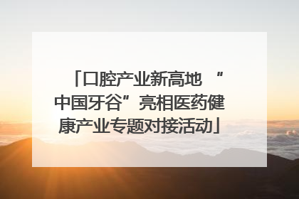 口腔产业新高地 “中国牙谷”亮相医药健康产业专题对接活动