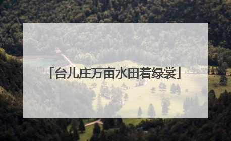 台儿庄万亩水田着绿裳
