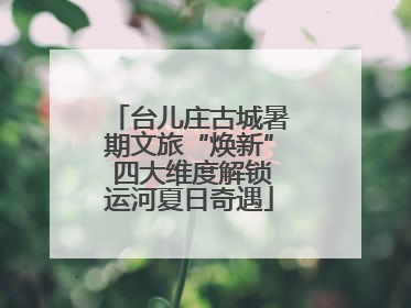 台儿庄古城暑期文旅“焕新” 四大维度解锁运河夏日奇遇
