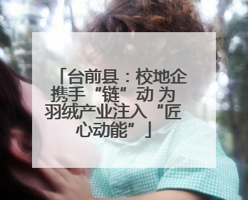 台前县：校地企携手“链”动 为羽绒产业注入“匠心动能”
