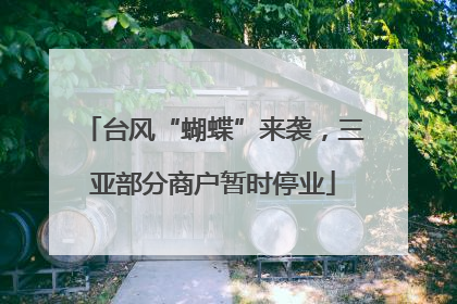 台风“蝴蝶”来袭，三亚部分商户暂时停业