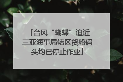 台风“蝴蝶”迫近 三亚海事局辖区货船码头均已停止作业