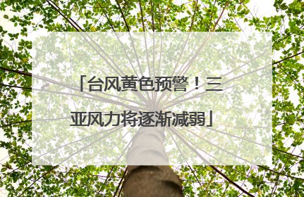 台风黄色预警！三亚风力将逐渐减弱
