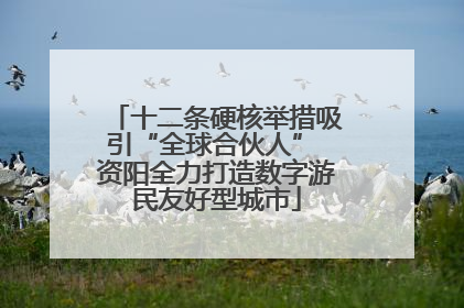十二条硬核举措吸引“全球合伙人” 资阳全力打造数字游民友好型城市