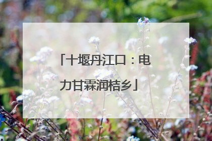 十堰丹江口：电力甘霖润桔乡