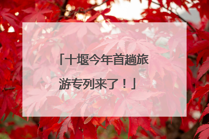 十堰今年首趟旅游专列来了！