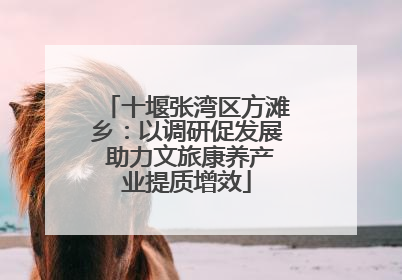 十堰张湾区方滩乡：以调研促发展 助力文旅康养产业提质增效