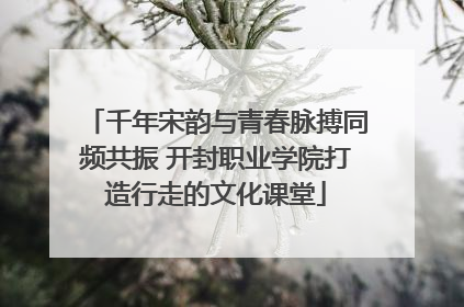 千年宋韵与青春脉搏同频共振 开封职业学院打造行走的文化课堂