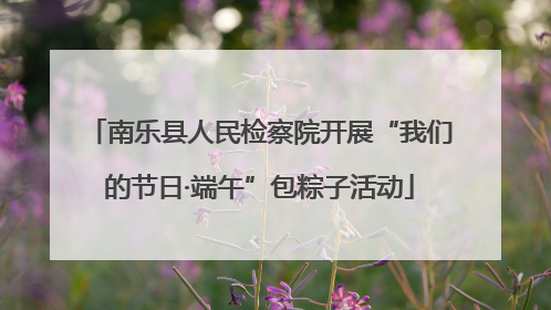 南乐县人民检察院开展“我们的节日·端午”包粽子活动