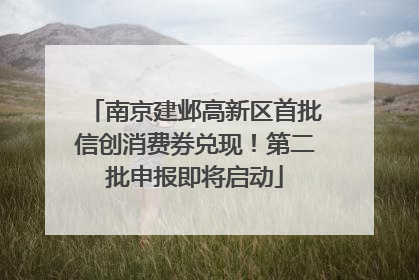 南京建邺高新区首批信创消费券兑现！第二批申报即将启动