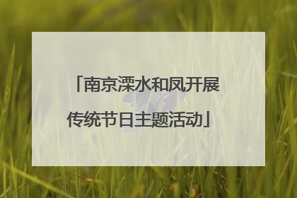 南京溧水和凤开展传统节日主题活动