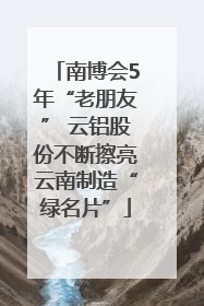 南博会5年“老朋友” 云铝股份不断擦亮云南制造“绿名片”