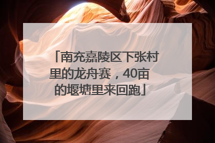 南充嘉陵区下张村里的龙舟赛，40亩的堰塘里来回跑