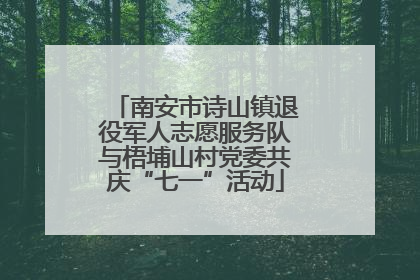 南安市诗山镇退役军人志愿服务队与梧埔山村党委共庆“七一”活动