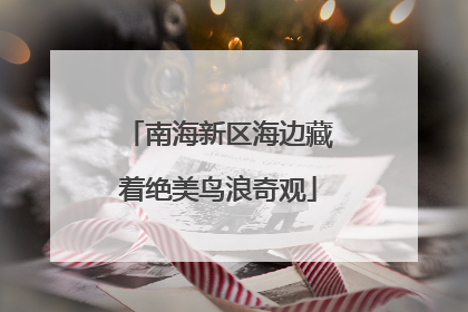 南海新区海边藏着绝美鸟浪奇观