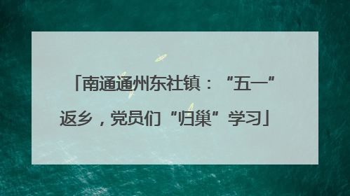 南通通州东社镇：“五一”返乡，党员们“归巢”学习