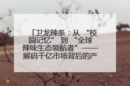 卫龙辣条：从 “校园记忆” 到 “全球辣味生态领航者”——解码千亿市场背后的产品创新与全链路破圈