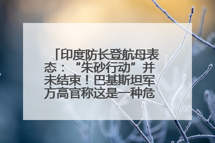印度防长登航母表态：“朱砂行动”并未结束！巴基斯坦军方高官称这是一种危险的状况……