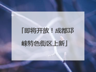 即将开放！成都邛崃特色街区上新