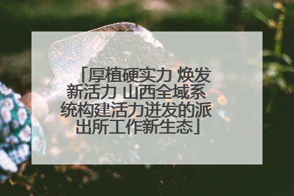 厚植硬实力 焕发新活力 山西全域系统构建活力迸发的派出所工作新生态