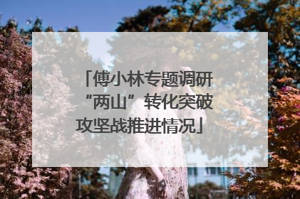 傅小林专题调研“两山”转化突破攻坚战推进情况