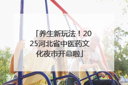 养生新玩法！2025河北省中医药文化夜市开幕啦