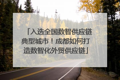 入选全国数智供应链典型城市！成都如何打造数智化外贸供应链