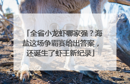 全省小龙虾哪家强？海盐这场争霸赛给出答案，还诞生了虾王新纪录