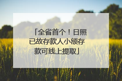 全省首个！日照已故存款人小额存款可线上提取