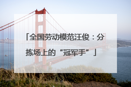 全国劳动模范汪俊：分拣场上的“冠军手”