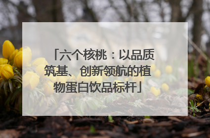 六个核桃：以品质筑基、创新领航的植物蛋白饮品标杆