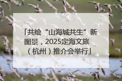 共绘“山海城共生”新图景，2025定海文旅（杭州）推介会举行