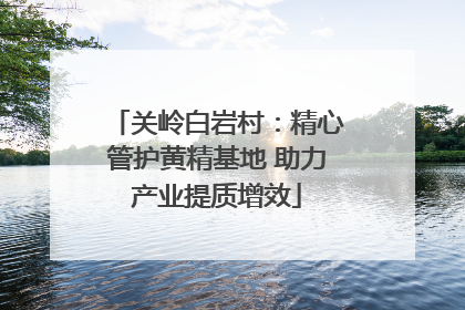 关岭白岩村：精心管护黄精基地 助力产业提质增效
