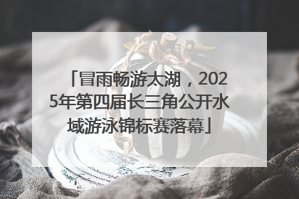 冒雨畅游太湖，2025年第四届长三角公开水域游泳锦标赛落幕