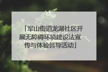 军山街道龙湖社区开展无障碍环境建设法宣传与体验督导活动