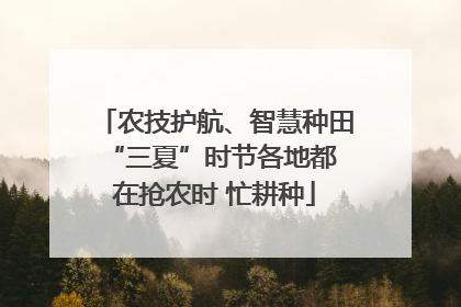 农技护航、智慧种田 “三夏”时节各地都在抢农时 忙耕种