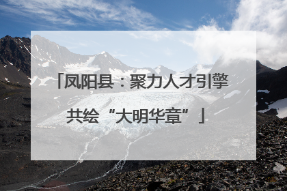 凤阳县：聚力人才引擎 共绘“大明华章”