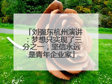 刘强东杭州演讲：梦想只实现了三分之一，坚信永远是青年企业家