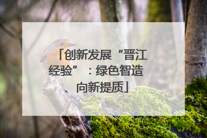 创新发展“晋江经验”：绿色智造、向新提质