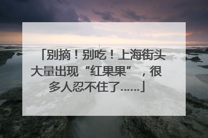 别摘！别吃！上海街头大量出现“红果果”，很多人忍不住了……