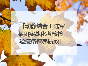 动静结合！陆军某团实战化考核检验装备保养质效