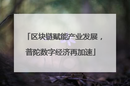 区块链赋能产业发展，普陀数字经济再加速