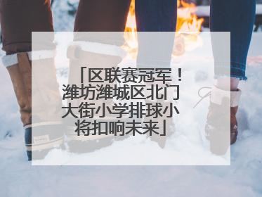 区联赛冠军！潍坊潍城区北门大街小学排球小将扣响未来