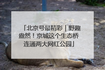 北京号最精彩｜野趣盎然！京城这个生态桥连通两大网红公园