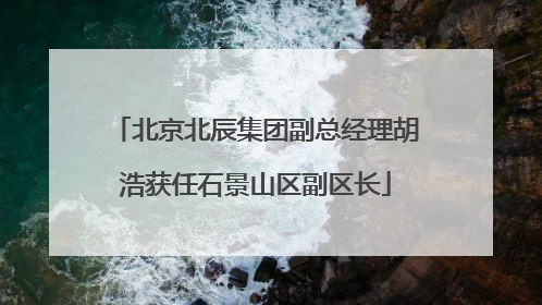 北京北辰集团副总经理胡浩获任石景山区副区长